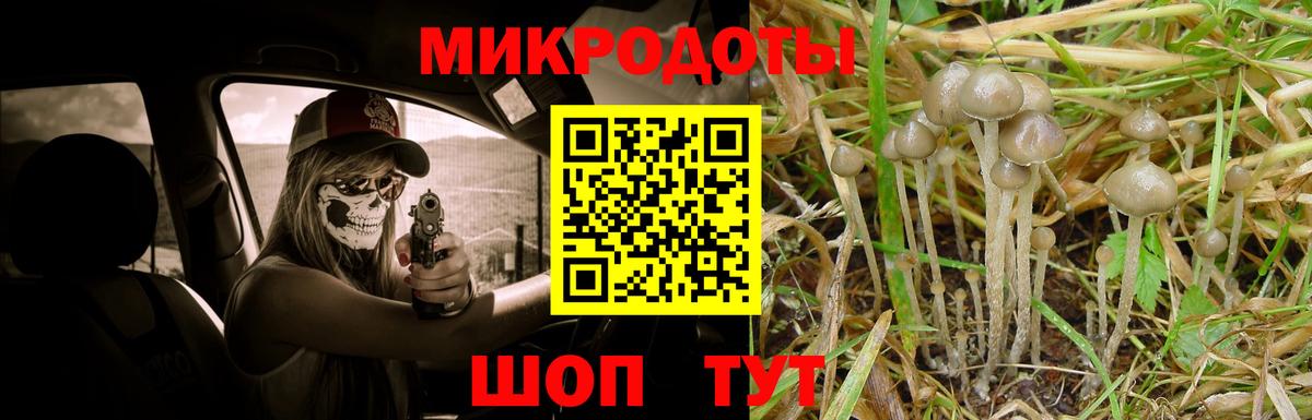 Заводоуковск  где купить наркоту  Вход с VPN  Псилоцибиновые грибы GOLDEN TEACHER  Псилоцибиновые грибы Psilocybine cubensis 